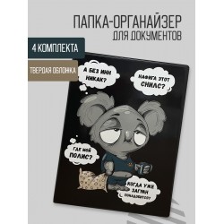 Папка-органайзер для семейных документов на 4 комплекта Надписи